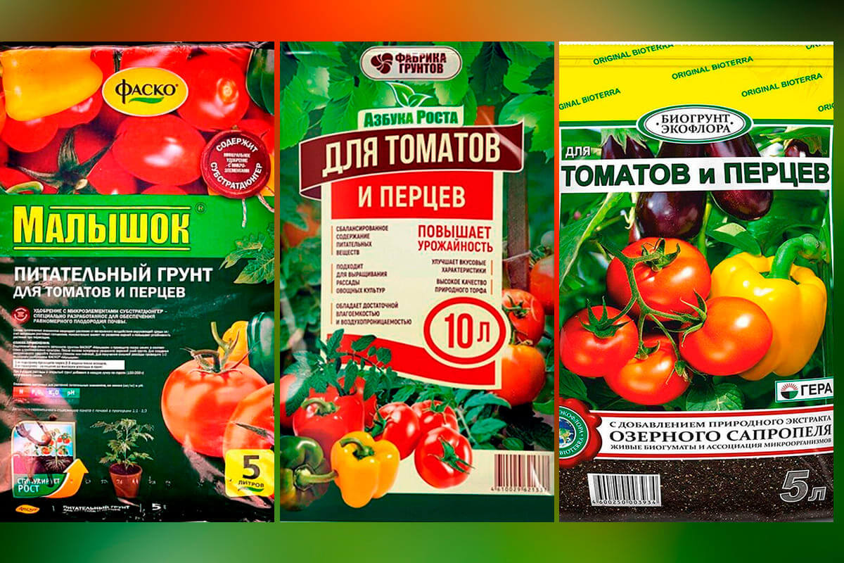 Как подготовить землю для рассады помидоров